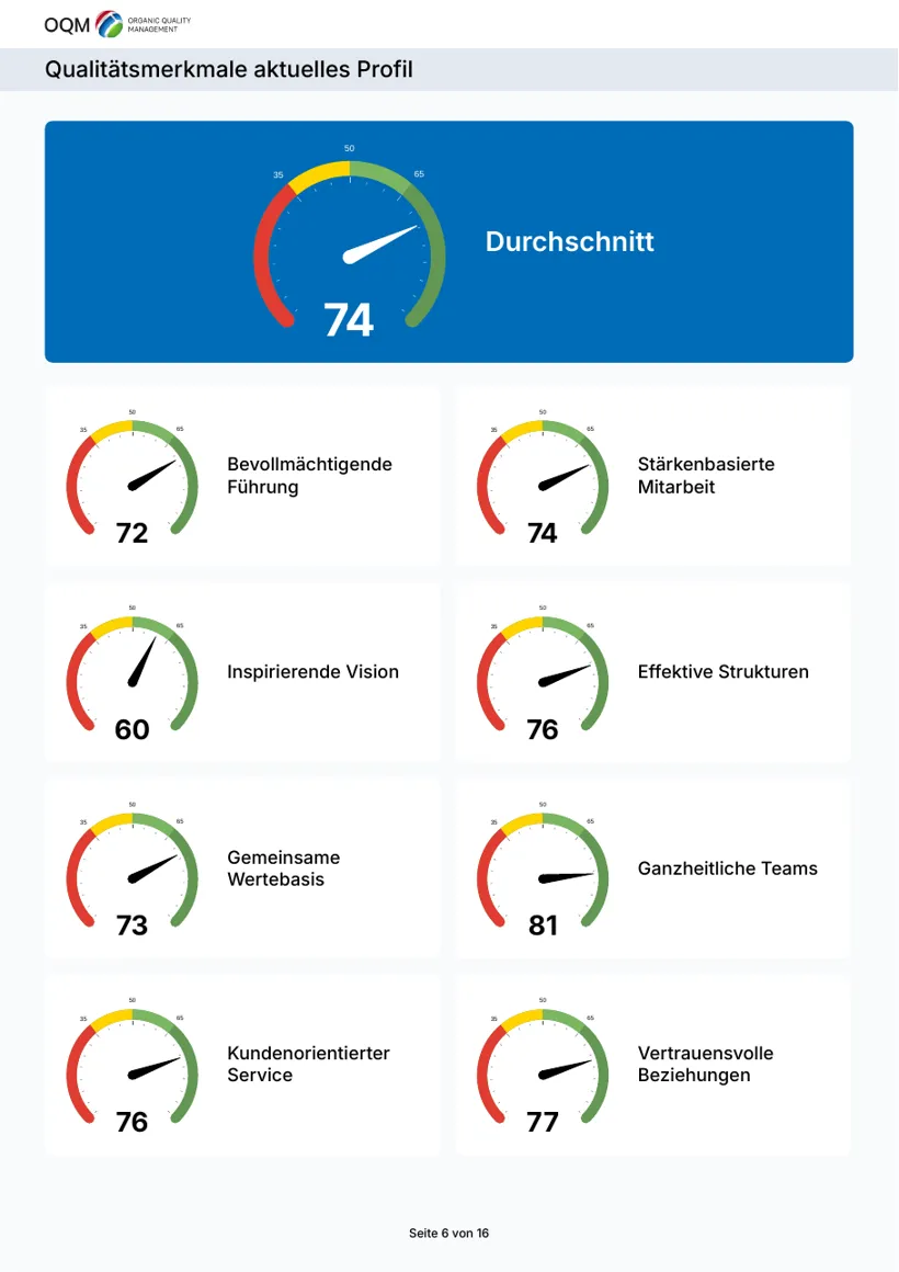 Page from the OQM 80 profile: eight factors as gauges